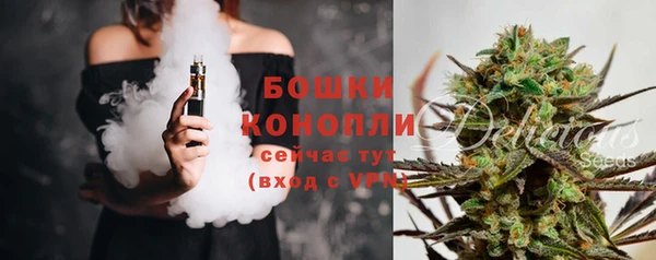 сатива Армянск