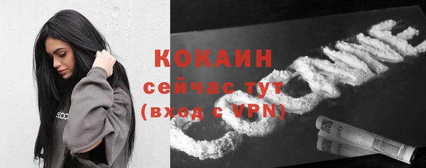 сатива Армянск