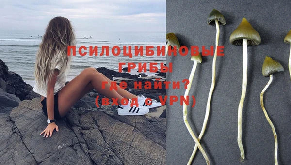 сатива Армянск